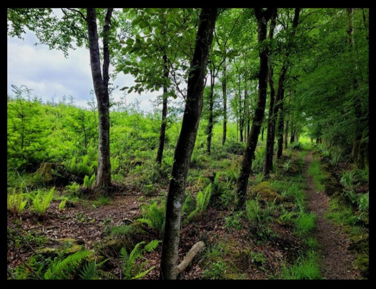 5 Reasons Why Hiking Is Healthy